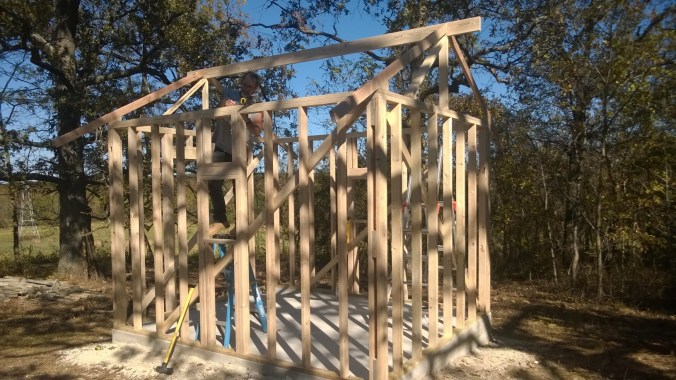 WP_20151012_15_19_49_Pro