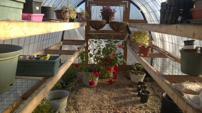 WP_20170307_16_15_00_Pro