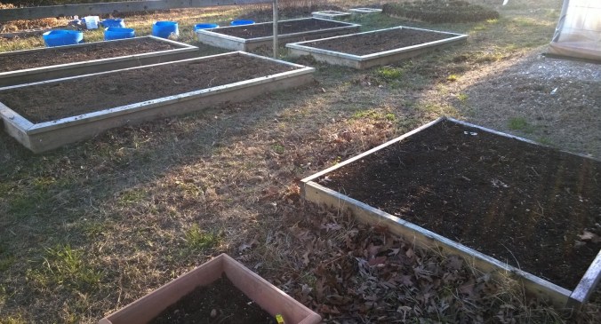 WP_20170307_16_59_54_Pro (2)