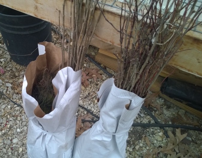 WP_20170314_14_54_38_Pro