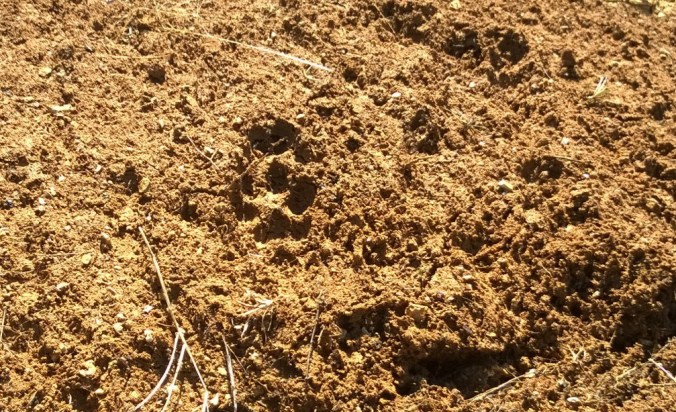 WP_20170315_11_20_03_Pro