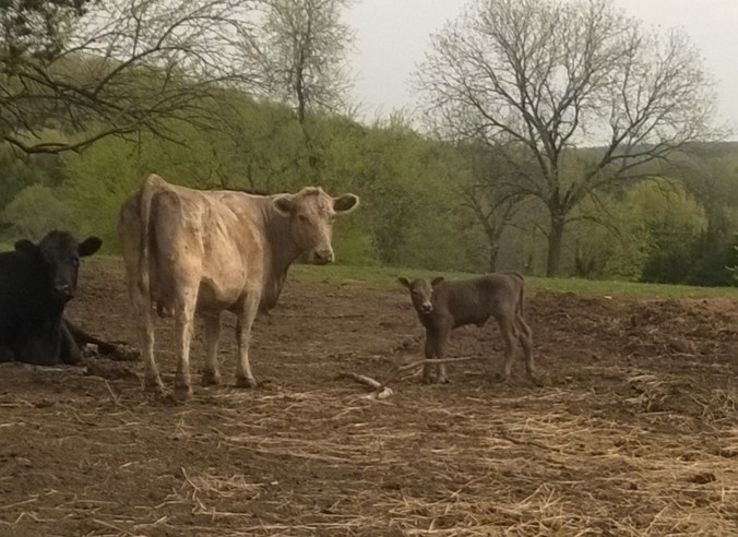 WP_20170419_10_14_45_Pro