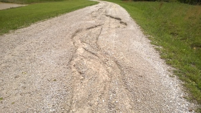 WP_20170430_13_25_19_Pro