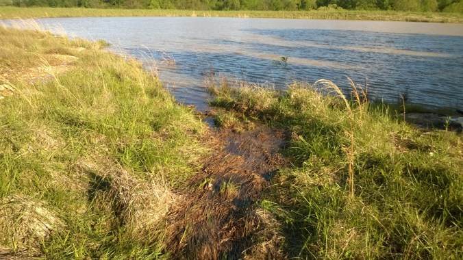 WP_20170430_17_59_26_Pro