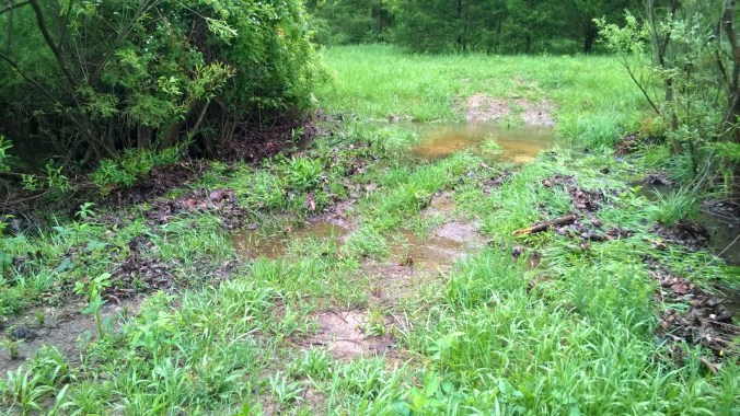 WP_20170504_10_01_26_Pro