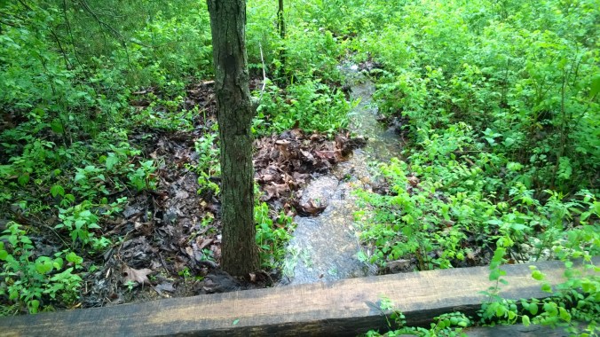 WP_20170504_10_03_46_Pro