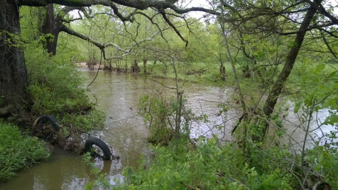 WP_20170504_10_34_02_Pro