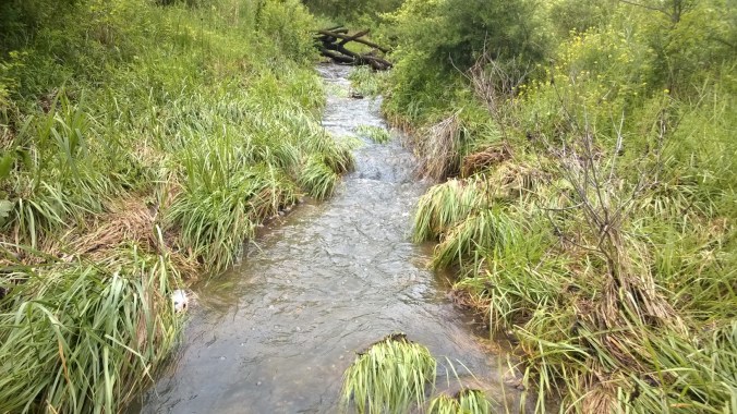 WP_20170504_10_39_35_Pro