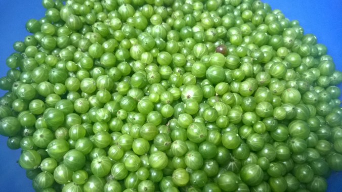 WP_20170607_09_01_37_Pro