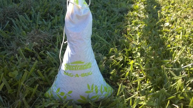 WP_20170624_17_55_55_Pro