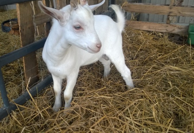 WP_20170715_19_08_06_Pro