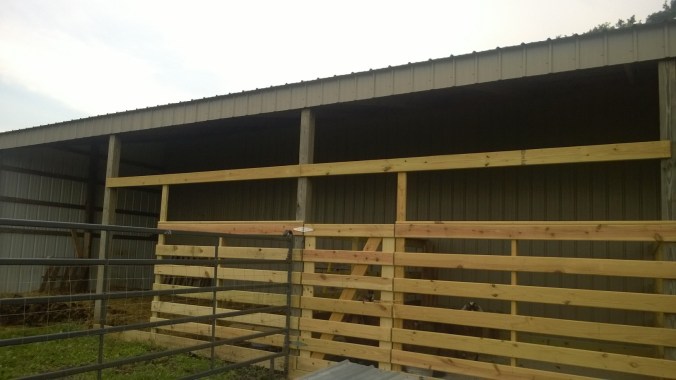 WP_20170807_18_12_36_Pro