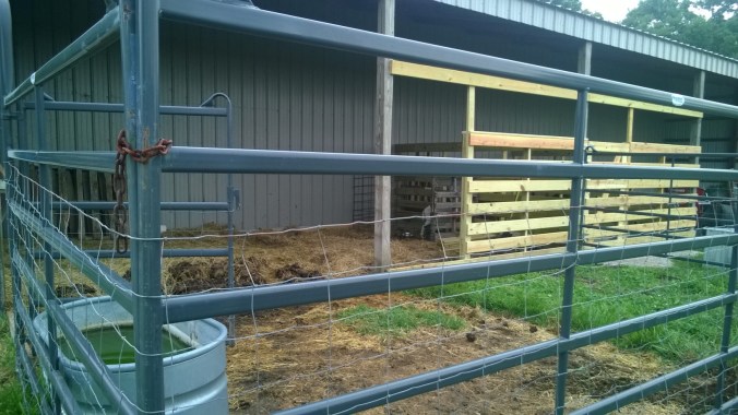 WP_20170807_18_39_48_Pro