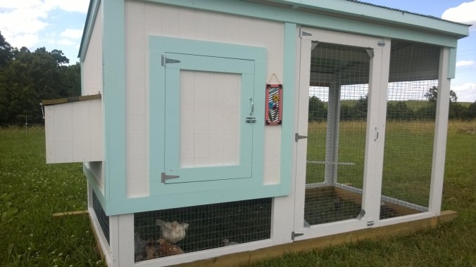 WP_20170701_16_21_57_Pro